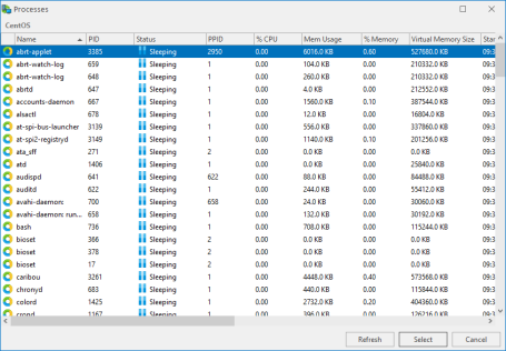 An image showing the Broswe Linux Processes dialog